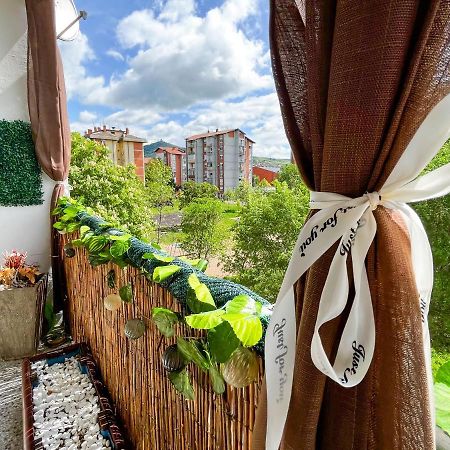 Sova Apartment Vrsac Ngoại thất bức ảnh