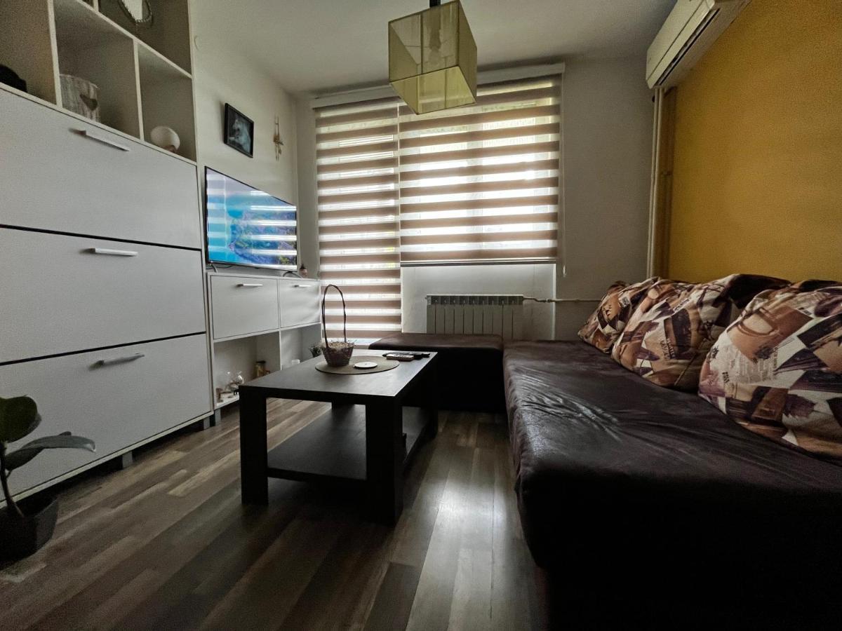 Sova Apartment Vrsac Ngoại thất bức ảnh