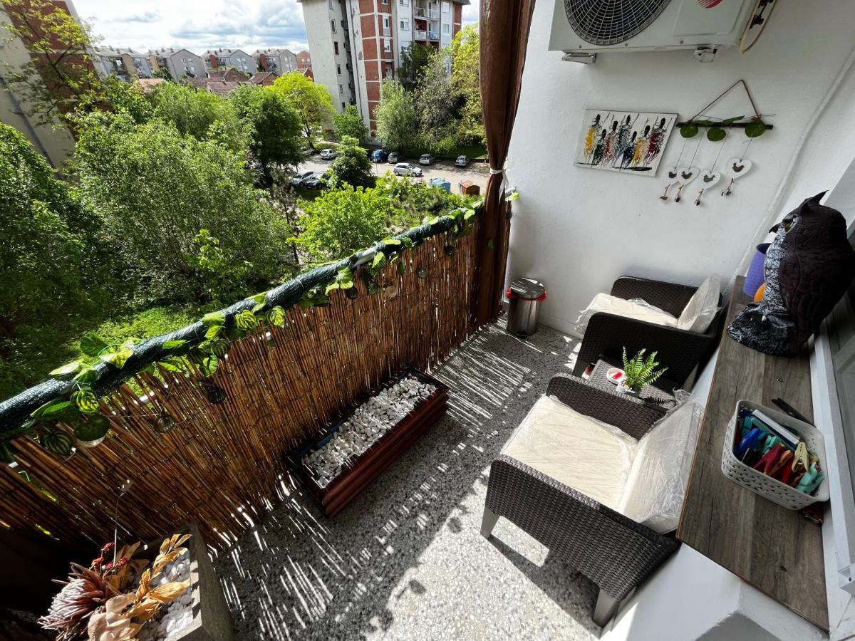 Sova Apartment Vrsac Ngoại thất bức ảnh