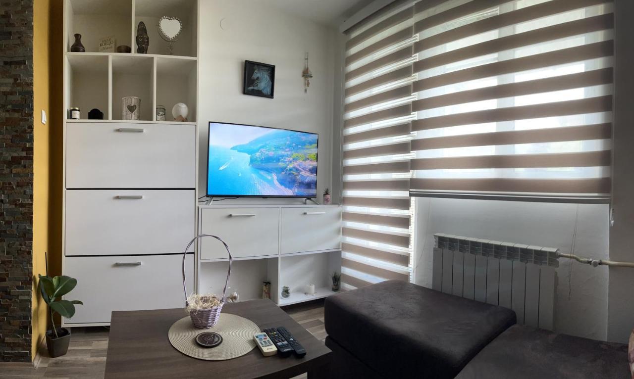 Sova Apartment Vrsac Ngoại thất bức ảnh