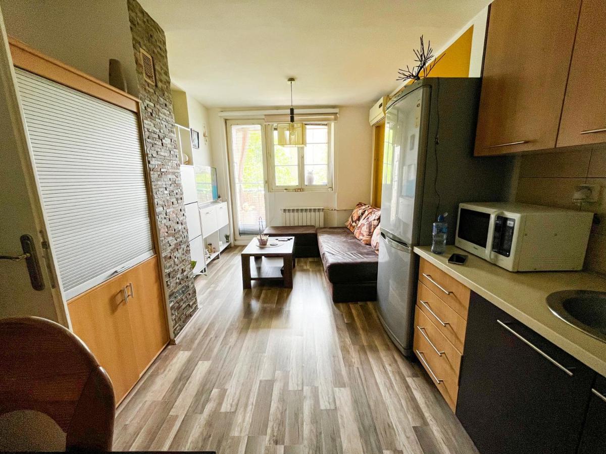 Sova Apartment Vrsac Ngoại thất bức ảnh
